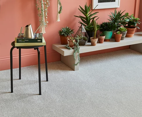 Carpets Ferndown
